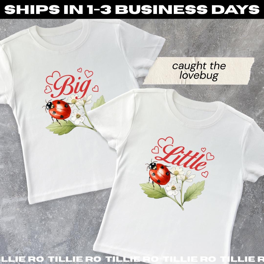 Lovebug Big & Little Reveal Shirts // Caught the Lovebug, Ladybug Sorority Shirts // Aesthetic Big Little Baby Tees
