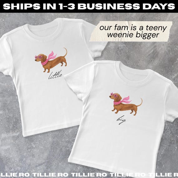 Weenie Bit Bigger Fam: Weenie Dog Big Little Reveal Shirts, Dachshund Sorority Tanks, Tees