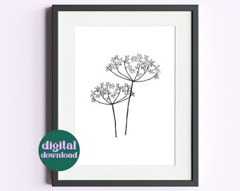 Floral Line Art | Printable Botanical Wall Art | Cow Parsley Art Print | Wild Flower Gift Idea for Her