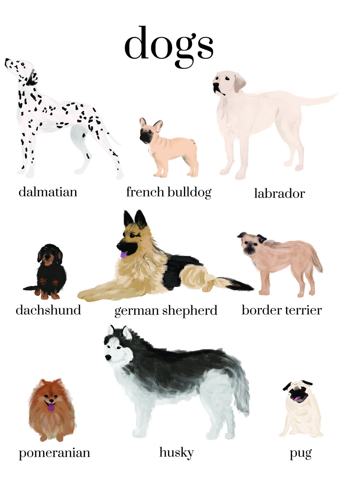 Dog Breeds Printable Poster Types of Dog Wall Art Print Etsy