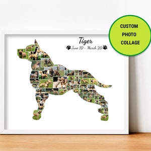 Pitbull Pit Bull Terrier Staffordshire Terrier Bully Pet Memorial Haustier Verlust Individuelle Silhouette Foto Collage WandKunst DigitalDruck