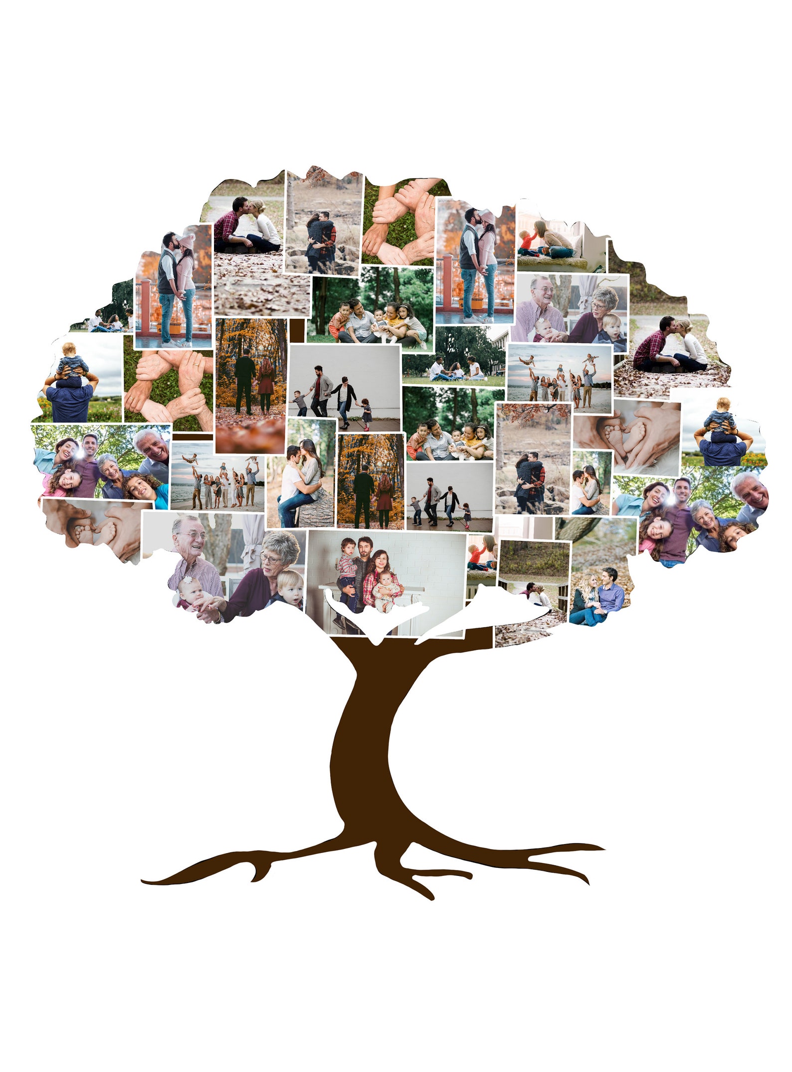 Family Tree Art Picture Photo Collage Custom Sign Personalized Etsy