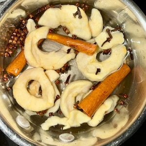 Fall Simmer Pots   Warm Apple Pie Cranberry Bliss  Walk Among the Pines