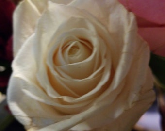 Mary Willie's Perfume Roll-on sCents