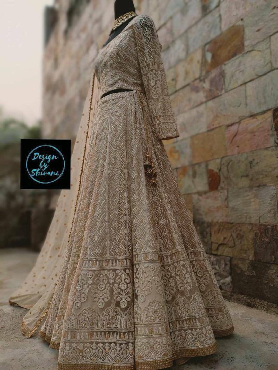 Wedding Party Gown Indian lengha choli for wedding guest Pakistani Dress  Anarkali Designer Lehenga Choli Ethnic