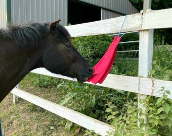 Paardenbrandslangverrijkingsspeelgoed