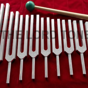 Professional Set Of 9 Tuning Fork with 528 Hz Tuning Fork+ Mallet &  Velvet Pouch Free