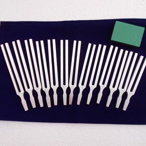 Könnte beinhalten: Ein Satz von 12 silbernen Stimmgabeln, die in einem Halbkreis auf einem blauen Samttuch angeordnet sind. Ein grüner rechteckiger Block befindet sich in der oberen rechten Ecke des Bildes.