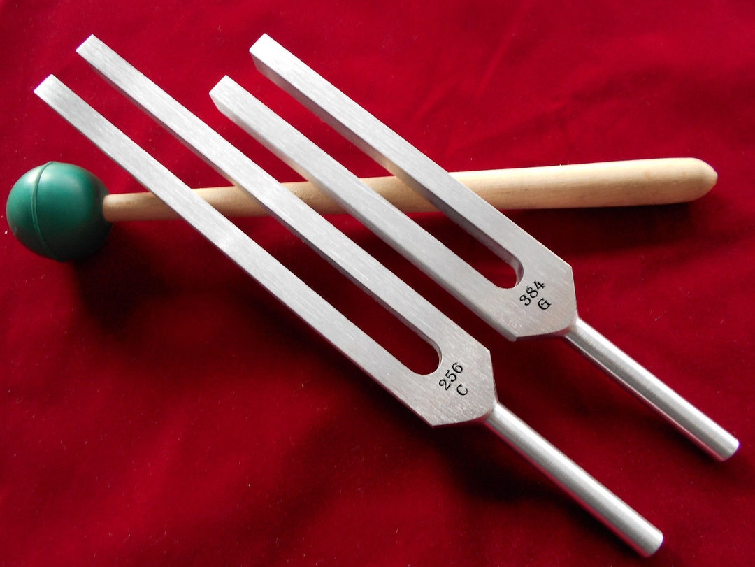 Whole Body Tuning Fork C 256hz & G 384hz With Velvet Pouch Etsy