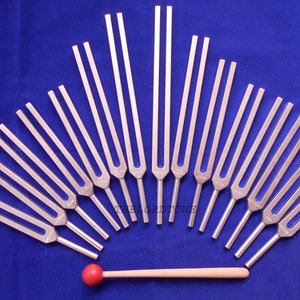 15 Pc Human Organ Tuning Fork with Velvet pouch + Mallet Use for meditation, Relaxation Sound Healing.