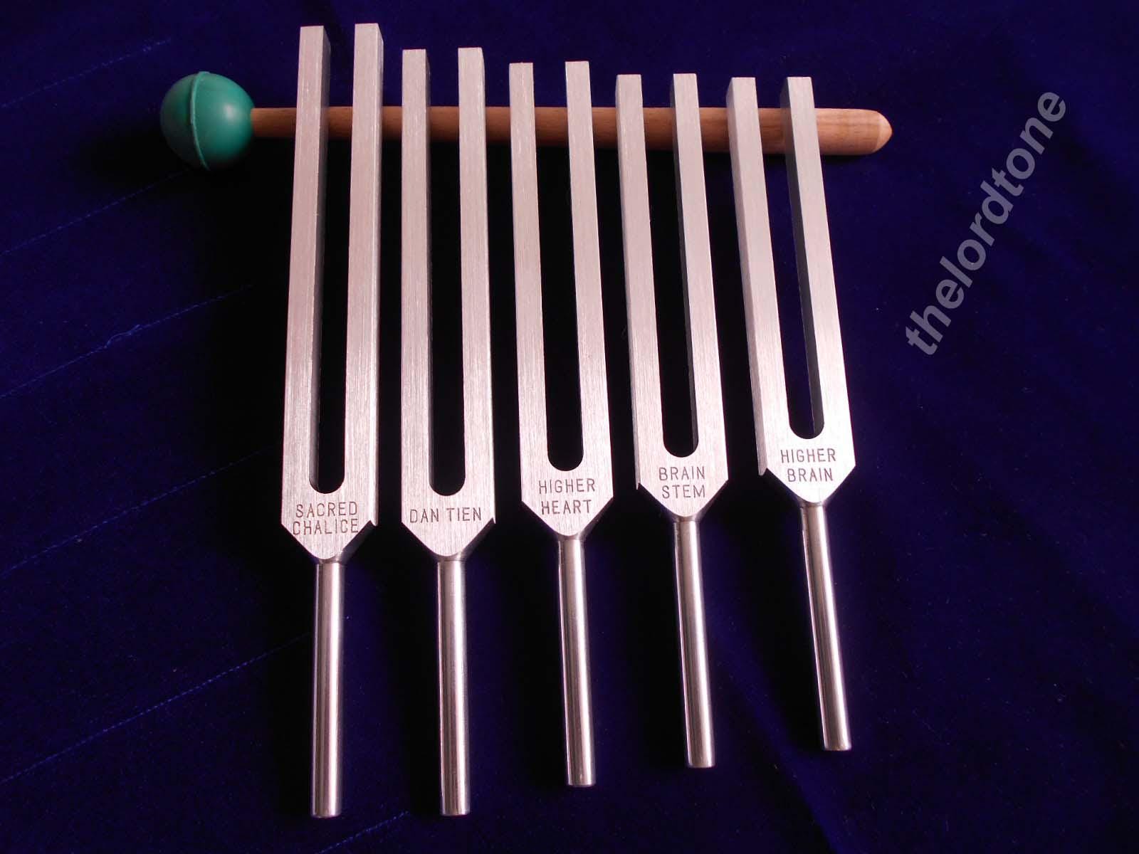 Sharp Unweighted Tuning fork set of 5 Large Handle For sound healing