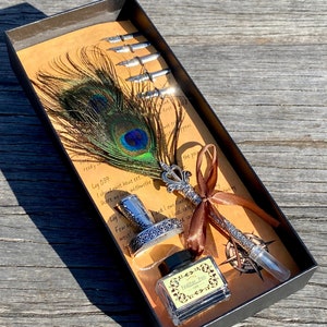 Calligraphy Ink Pen | 6 inch Feathers | Carved Silver Coloured Metal Body | 5 Different Nibs | Black Japanese Ink | Gift Set