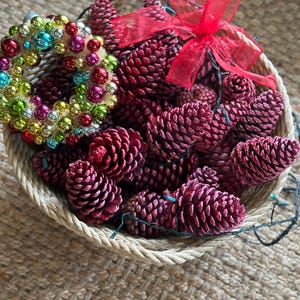 Holiday Colorful Pine Cones Pink and Red Mixture 4/5 Inches Twenty Pine Cones for Christmas/Valentines.
