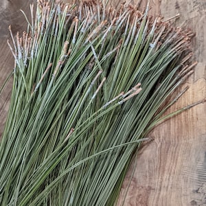 May include: A bunch of long, thin, green pine needles with brown tips, arranged on a wooden surface.