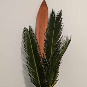 Three Freshly Harvested Palm/Cycas Fronds, 16 + inches, Easter Palm, curly palms, Tropical decor, vase fillers, Home Decor