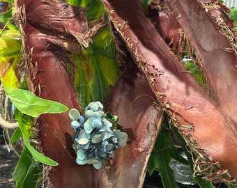 Corteza de palmera para decoración del hogar/Arreglos florales/Isópodos