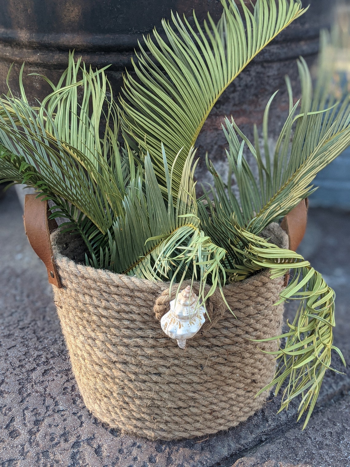 6 Dried Palm Fronds Dried Sago Palms Dried Palm Leaves Etsy