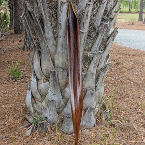 May include: A long, slender, dried palm frond sheath with a smooth, dark brown, concave interior surface and a lighter, fibrous exterior. The object is vertically oriented, tapering to a point at the top and narrowing toward the base.