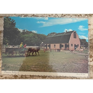 Middleton Place Plantation Stableyards Vintage Postcard Charleston South Carolina By Bill Jordan