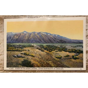 Fred Harvey Postcard &quot;Sunset On The Desert Arizona&quot; By B.M. Dressler
