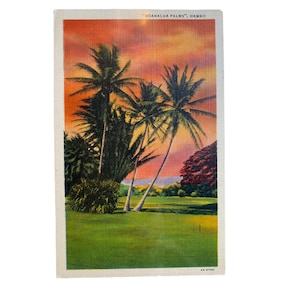 Vintage &quot;Moanalua Palms&quot; Hawaii Postcard