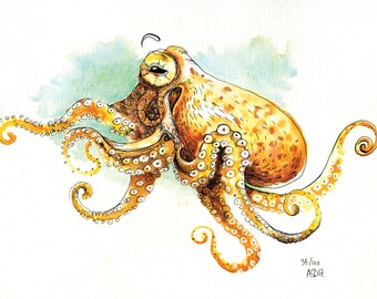 Pieuvre Aquarelle Etsy Pieuvre Aquarelle Etsy