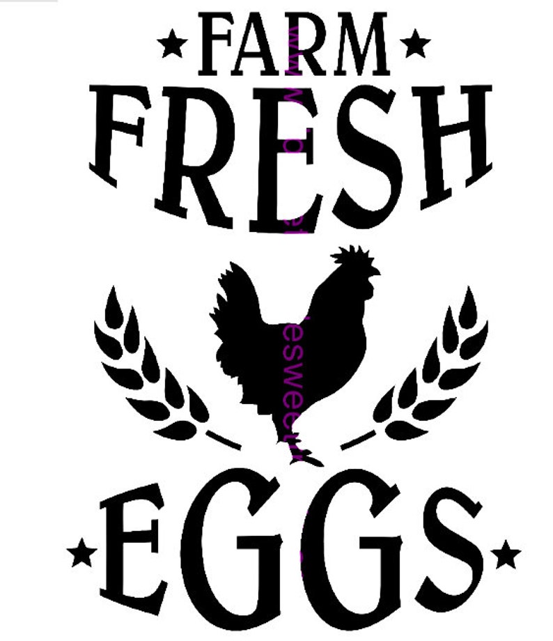 Farm Fresh Eggs svg | Etsy