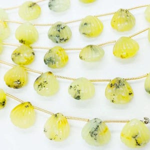 Lemon Dendrite Shell Briolettes: Hand Carved Gemstone Beads, 12mm