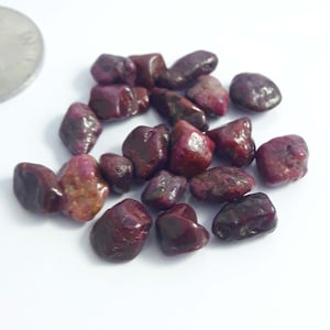 May include: A collection of small, rough, red ruby gemstones. The rubies are various shapes and sizes, and have a deep red color.