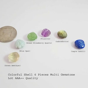 Peut inclure: Six sculptures de coquillages en pierres précieuses colorées, dont l'améthyste verte, l'opale bleue, le quartz vert fraise, la fluorine, la labradorite et le lapis-lazuli.  Colorful Shell 6 Pieces Multi Gemstone Lot AAA++ Quality