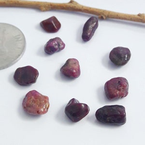 Peut inclure: Une collection de petits pierres précieuses polies dans des tons de rouge foncé et de violet. Les pierres varient en forme et en taille, avec une surface lisse et réfléchissante. Une petite pièce de monnaie argentée est visible en arrière-plan, ainsi qu'une fine brindille brune.