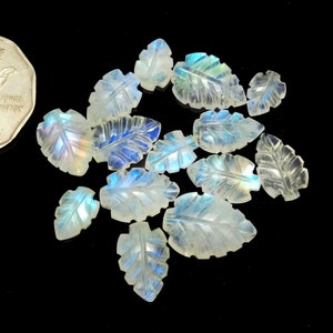 May include: A collection of 15 iridescent white moonstone leaf shaped cabochons. The cabochons are carved with a leaf design and have a rainbow sheen.