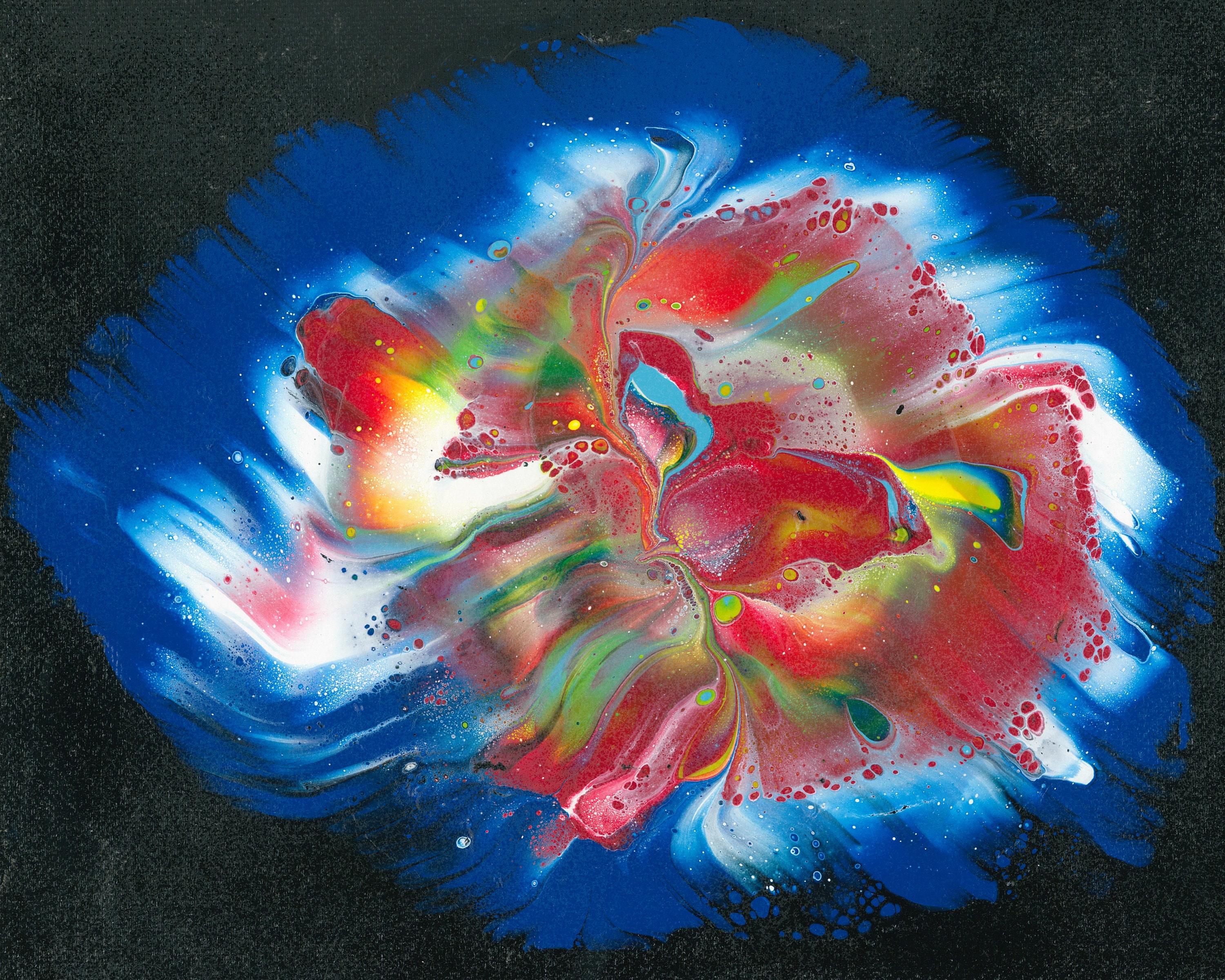 Exploding Flower Etsy