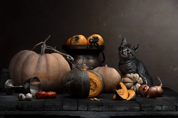 Pumpkin Patch Still Life 3 Black Framed Print Wall Art Pumpkin Patch Still Life 3 Black Framed Print Wall Art