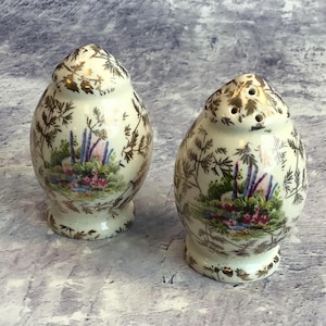 Pair of Vintage China Salt & Pepper Shakers With Gold Foliage and Cottage Garden Scene