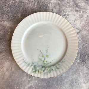 Vintage Royal Stafford Bone China 10,25 Zoll Geriffelte Speiseteller - Blütenzeit Muster