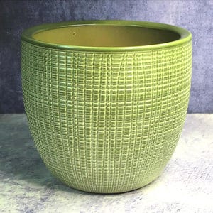 May include: A round, lime green ceramic planter featuring a textured exterior with a repeating vertical and horizontal grid pattern. The interior of the pot is a smooth, light tan colour, and the rim is finished with a solid green edge.