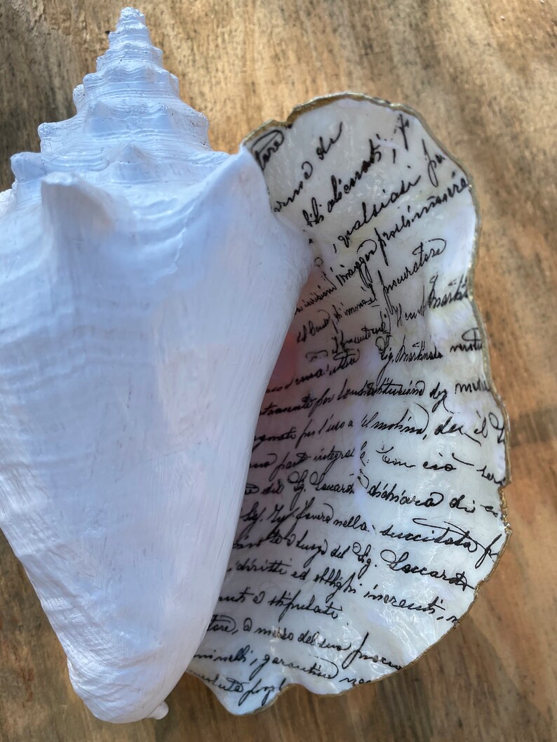 Seashell, Large Shell, Letter, Vintage Letter, Decoupage Shell, Shell ...