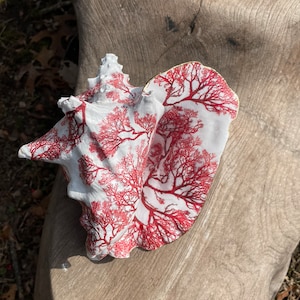 Conch shell, Red Coral, Decoupage Shell, Home Decor, Housewarming Gift, Gifts for her, Gift for him, Ornaments, Shell Art, Unique Gift, Art