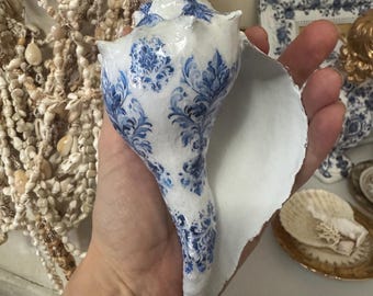 Könnte beinhalten: Eine große, weiße Muschel mit blauem Blumenmuster. Die Muschel wird in einer Hand gehalten, was ihre Größe und ihr kompliziertes Design zeigt. Das blaue Muster kontrastiert mit der weißen Muschel und schafft ein dekoratives Stück.