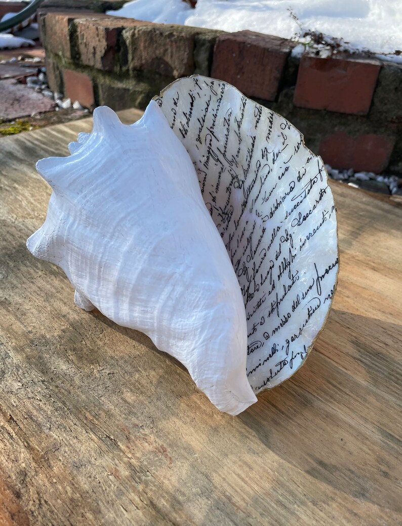 Seashell Large Shell Letter Vintage Letter Decoupage - Etsy