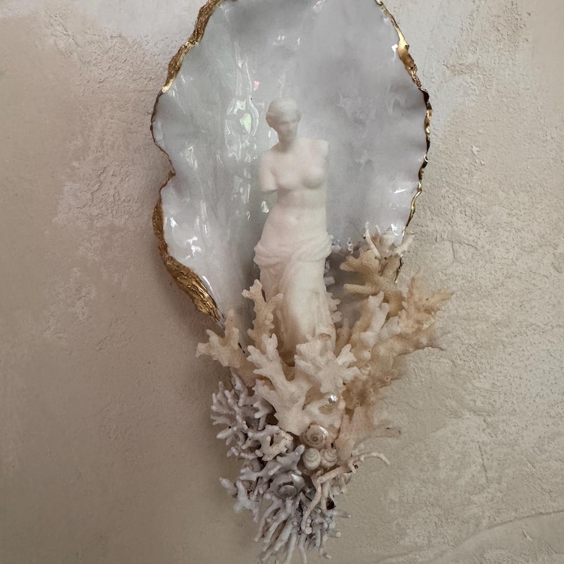 Shells For Shell Painting Sculpture Art of Shells - Etsy UK