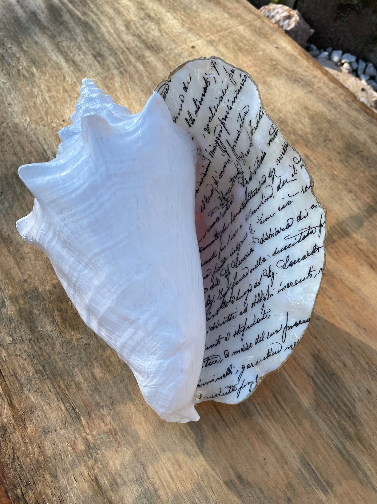 Seashell Large Shell Letter Vintage Letter Decoupage - Etsy