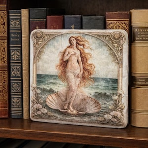 Könnte beinhalten: Ein quadratischer Kunstdruck von Botticellis "Die Geburt der Venus" steht auf einem Holzregal zwischen antiken Büchern. Der Druck zeigt eine nackte Frau in einer Muschel mit langen roten Haaren vor einem Meer- und Himmelhintergrund.