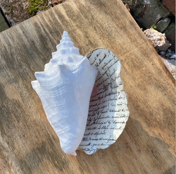 Seashell Large Shell Letter Vintage Letter Decoupage - Etsy