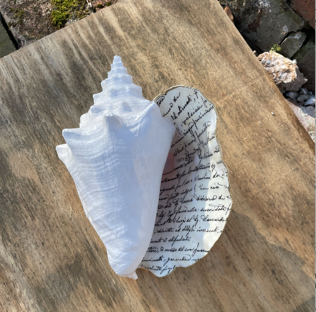 Seashell Large Shell Letter Vintage Letter Decoupage - Etsy