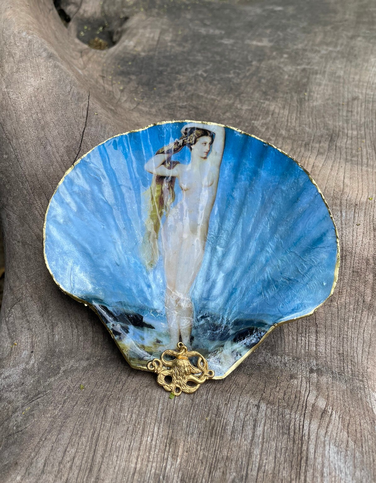 Venus Nude Nymph Decoupage Shell Trinket Dish Unique - Etsy