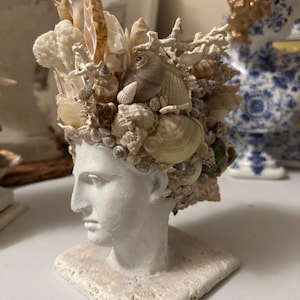 Op de afbeelding: Een witte buste van een klassieke figuur, versierd met een kroon van schelpen, koraal en andere mariene elementen. De buste is gemonteerd op een vierkante, getextureerde basis. De schelpen zijn in tinten beige, bruin en wit.