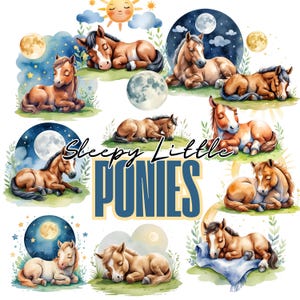 Niedliches schlafendes Pony Clipart-Set | Babyparty |  Pony-Geburtstag | Sublimation PNG | Kinderzimmer| Sublimationsdesigns