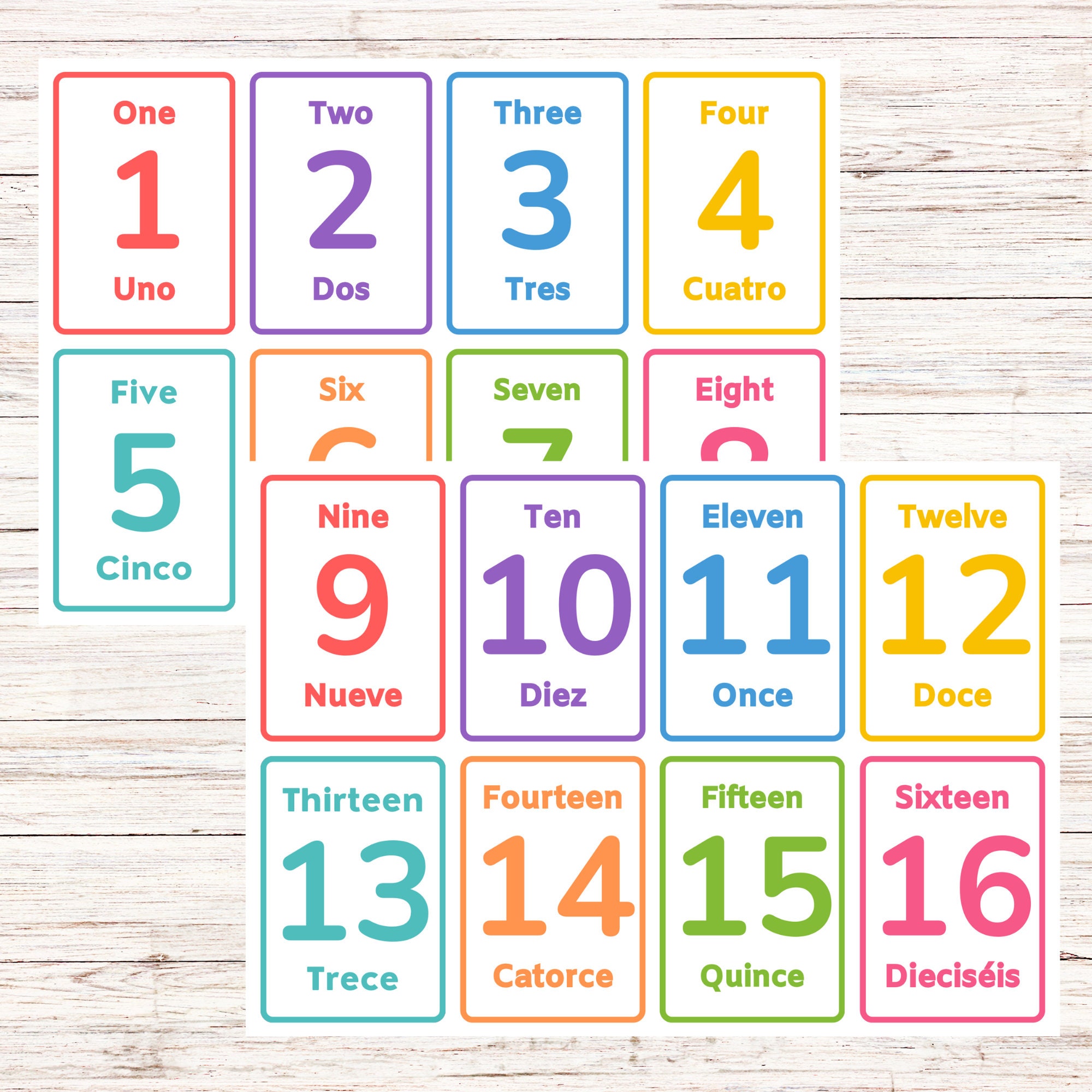 LITTLE　BILINGUAL　year2-step1-12 Early Years Workbooks (Set of 4) [Classic]